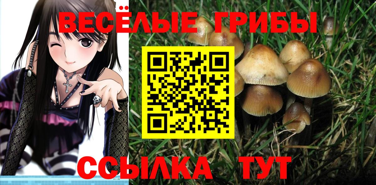 Галлюциногенные грибы Psilocybine cubensis  где купить наркотик  Красноперекопск  Вход с VPN 