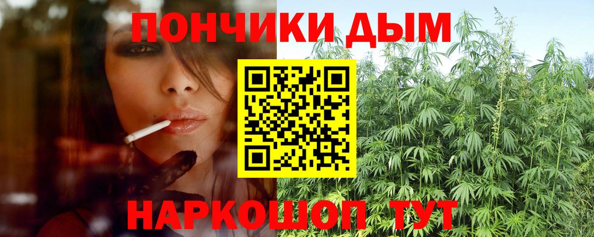 Бошки Шишки гибрид  Каннабис семена  Вход с VPN  Марихуана SATIVA & INDICA  Красноперекопск 
